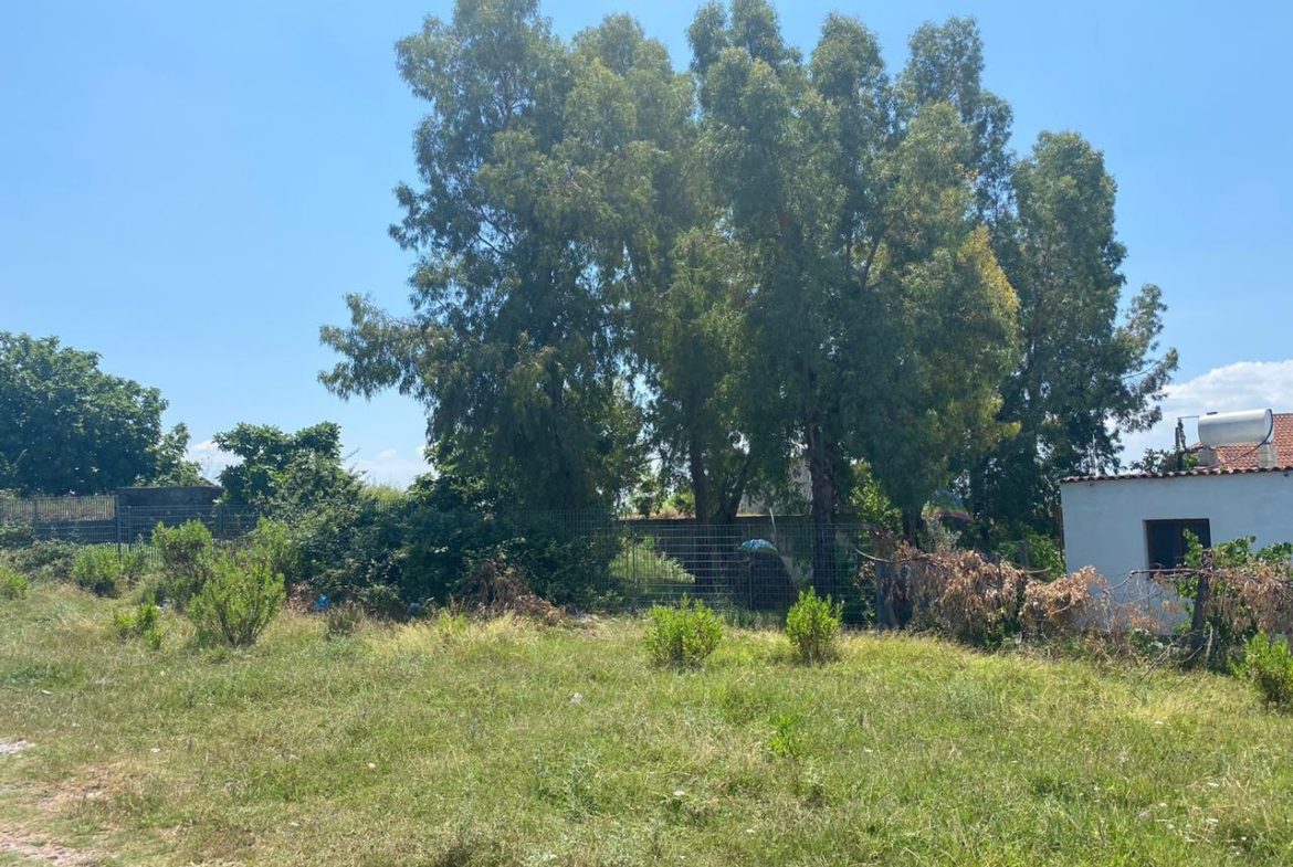Shitet toke 8500 m2, prane UBT, Tirane.