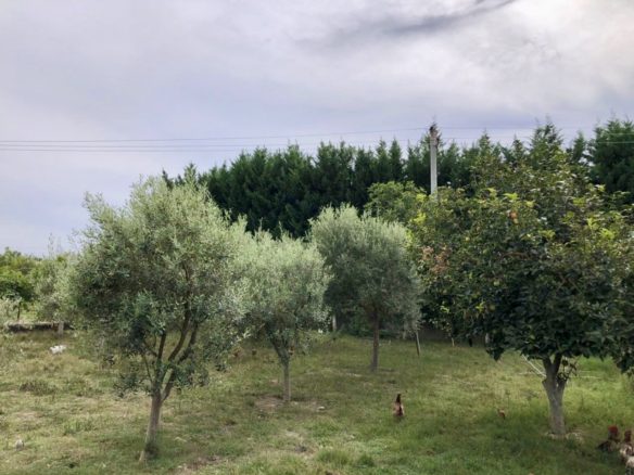 Shtepi private + 2160 m2 toke, Sukth Durres
