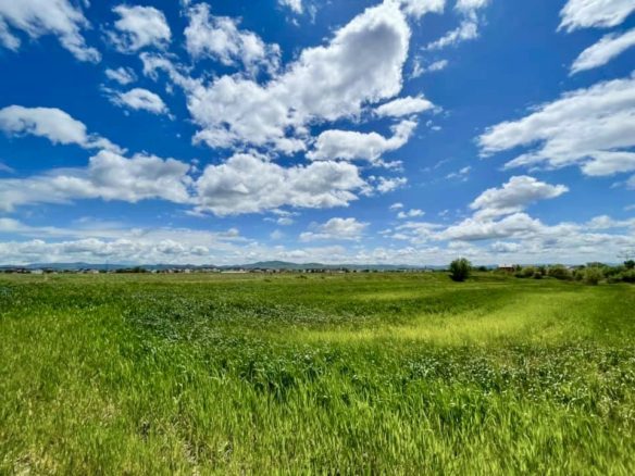 3900 m2 e pershtatshme per ndertim, Fllake