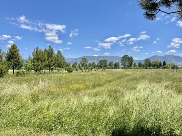 45’000 m2 perballe fondacionit Betania, Bubq, Tirane