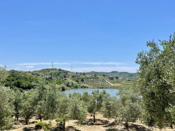 Shiten 7 dylym ullishte-toke bujqesore buze rezervuarit, Shkallnur, Durres.