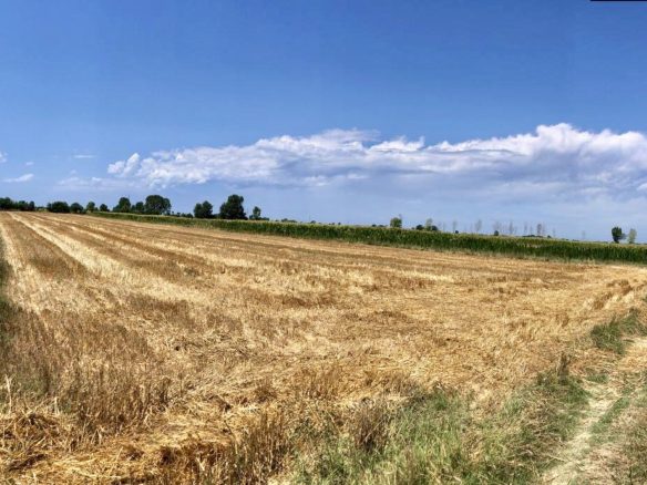 11’490 m2 toke per shitje ne Sukth, Durres