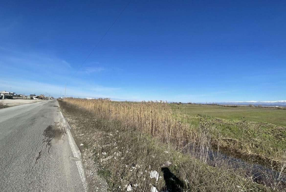 Shitet toke 6’000 m2, prane Universitetit te Durresit.