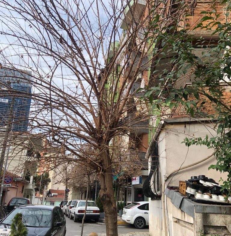Ambient per zyra me qera, prane Institutit Te Higjenes, Tirane.