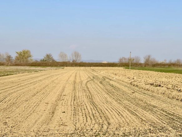 7300 m2 toke per shitje ne Qerret, Durres