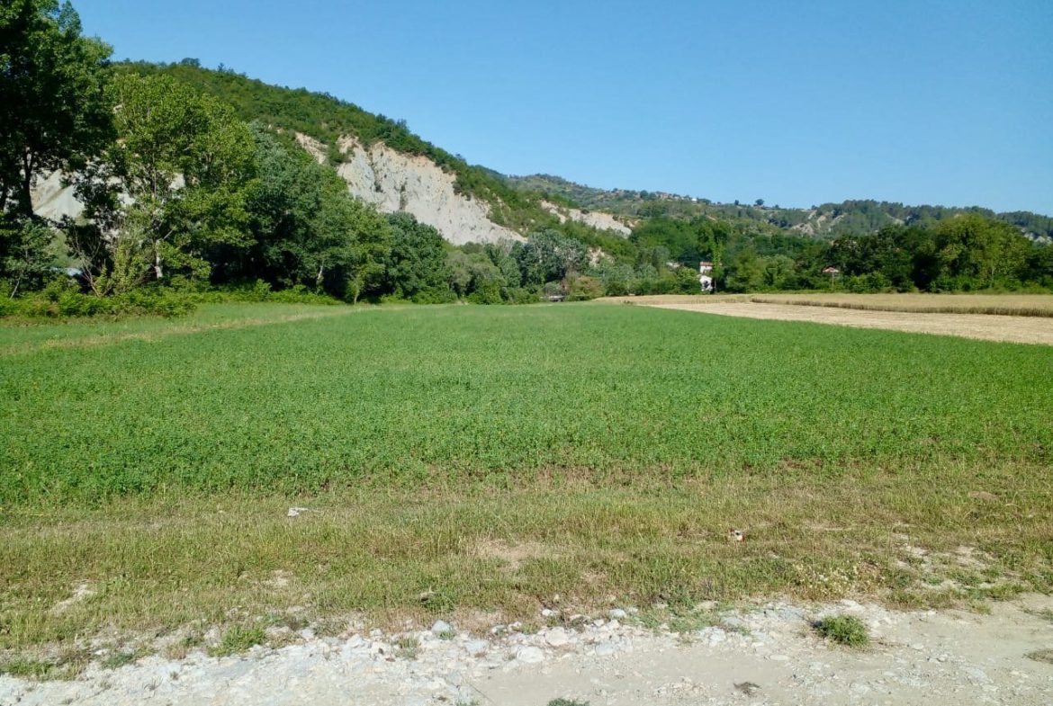 6100 m2 toke per shitje, Peze e Madhe, Tirane