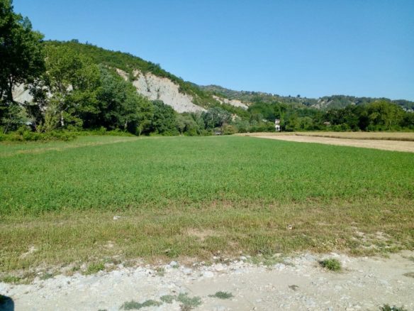 6100 m2 toke per shitje, Peze e Madhe, Tirane