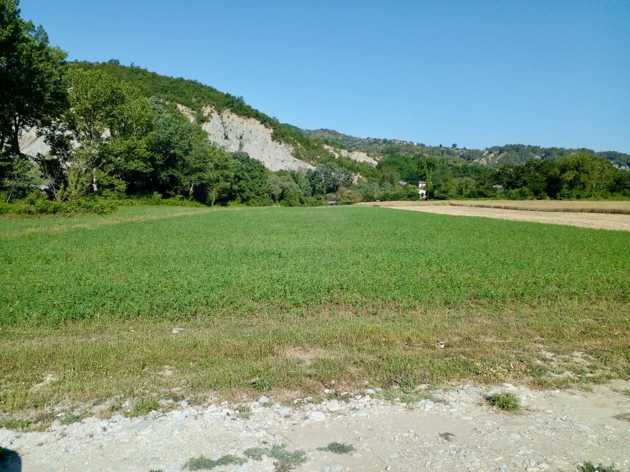 6100 m2 toke per shitje, Peze e Madhe, Tirane