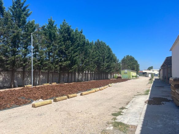 {:sq}Shitet truall+ biznes, Xhafzotaj, Durres.{:}