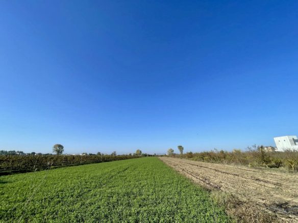 7792 m2 toke per shitje ne Sallmone, Durres