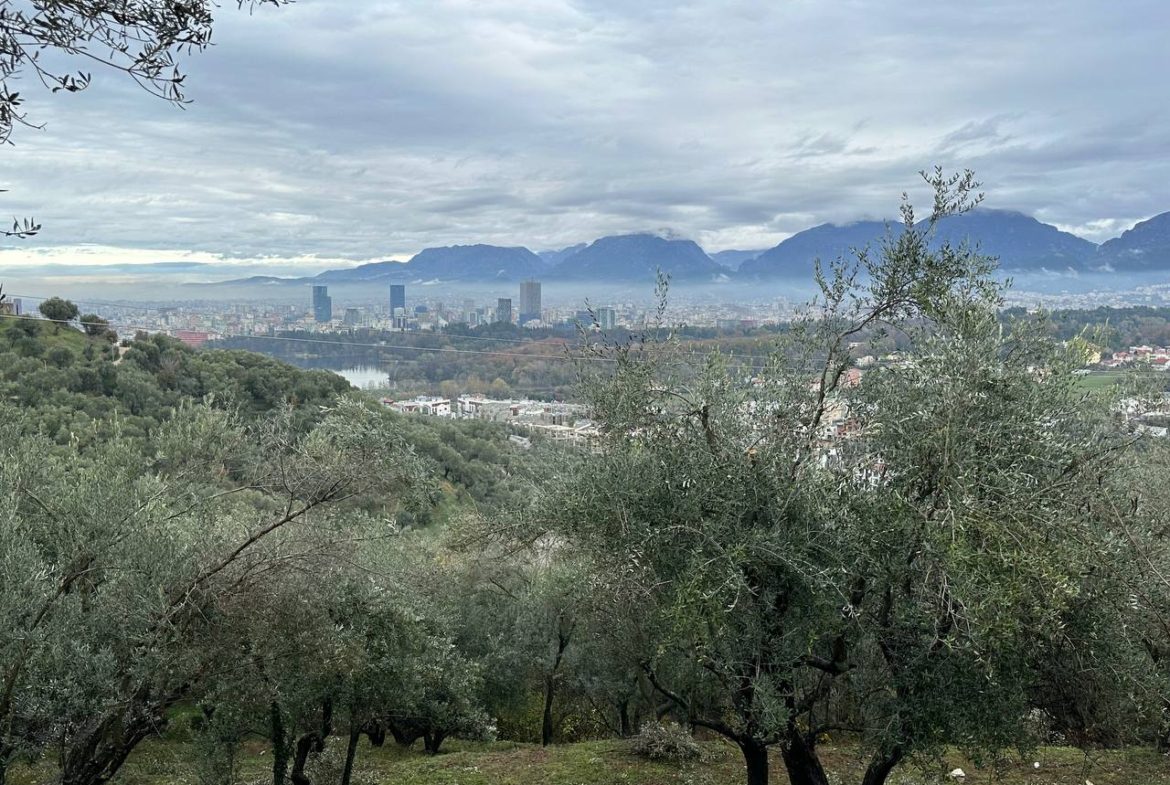 Toke per shitje, Sauk, Tirane.