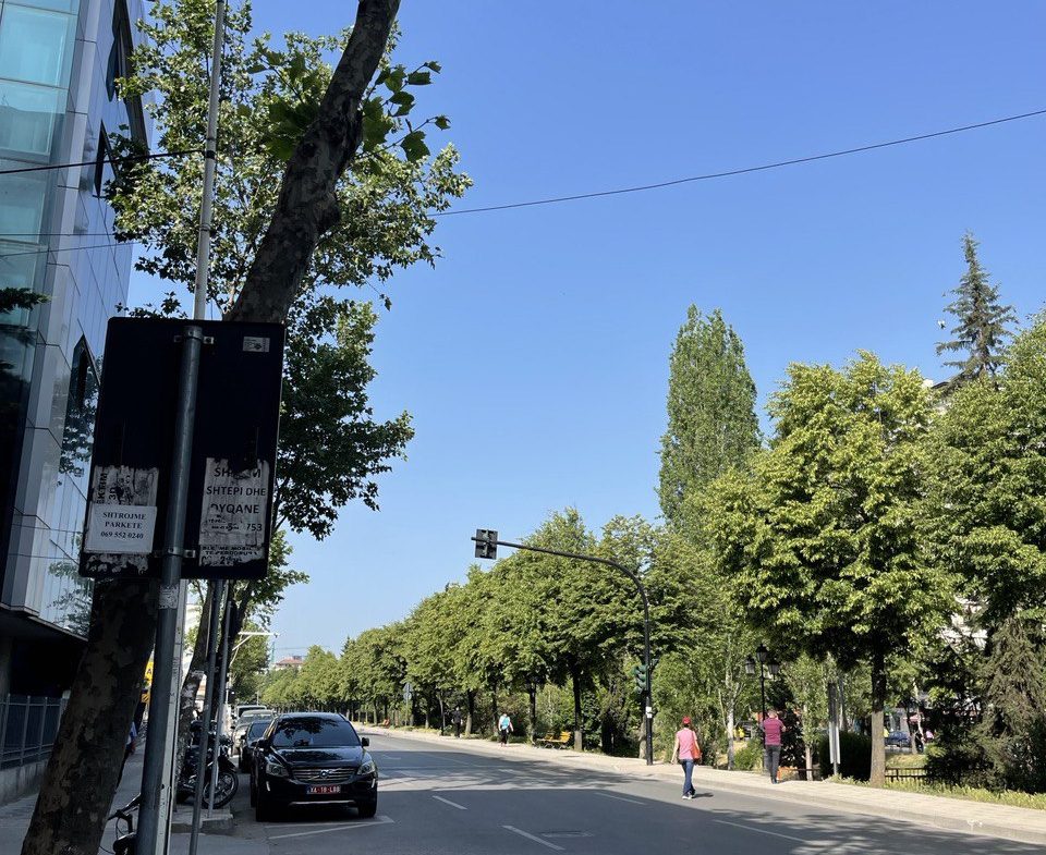 Dyqan per qera, perballe Ministrise se Puneve te Jashtme, Tirane.