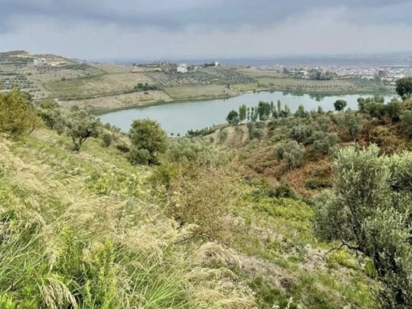 15 dylym toke ullishte per shitje ne Spitall, Durres