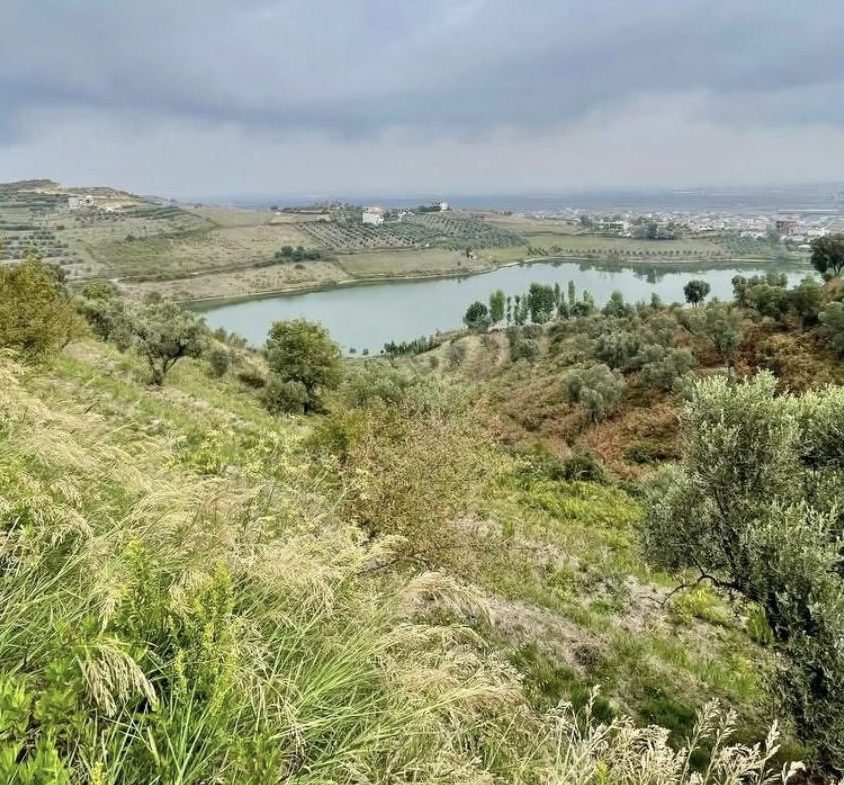 15 dylym toke ullishte per shitje ne Spitall, Durres