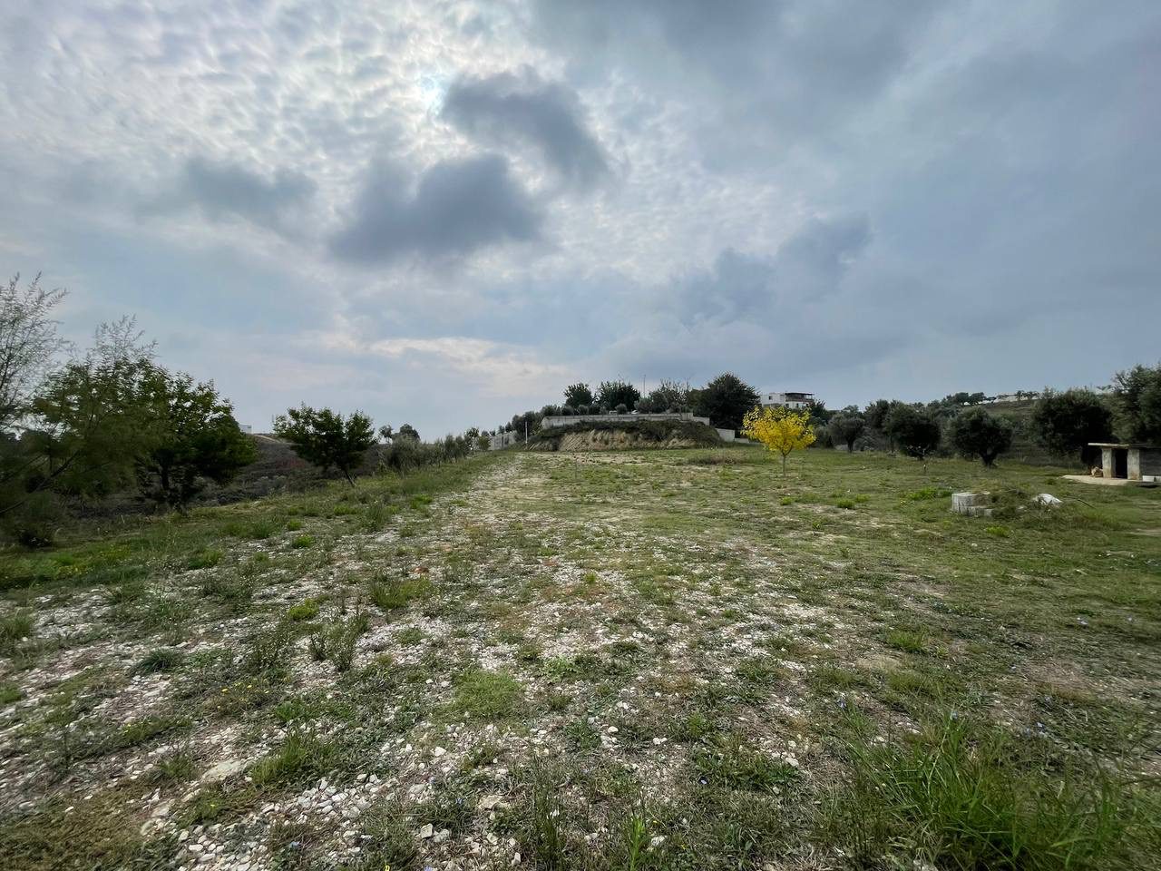15 dylym toke ullishte per shitje ne Spitall, Durres