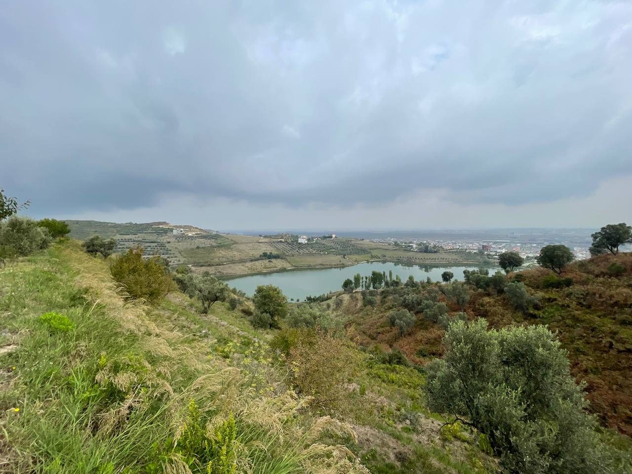 15 dylym toke ullishte per shitje ne Spitall, Durres