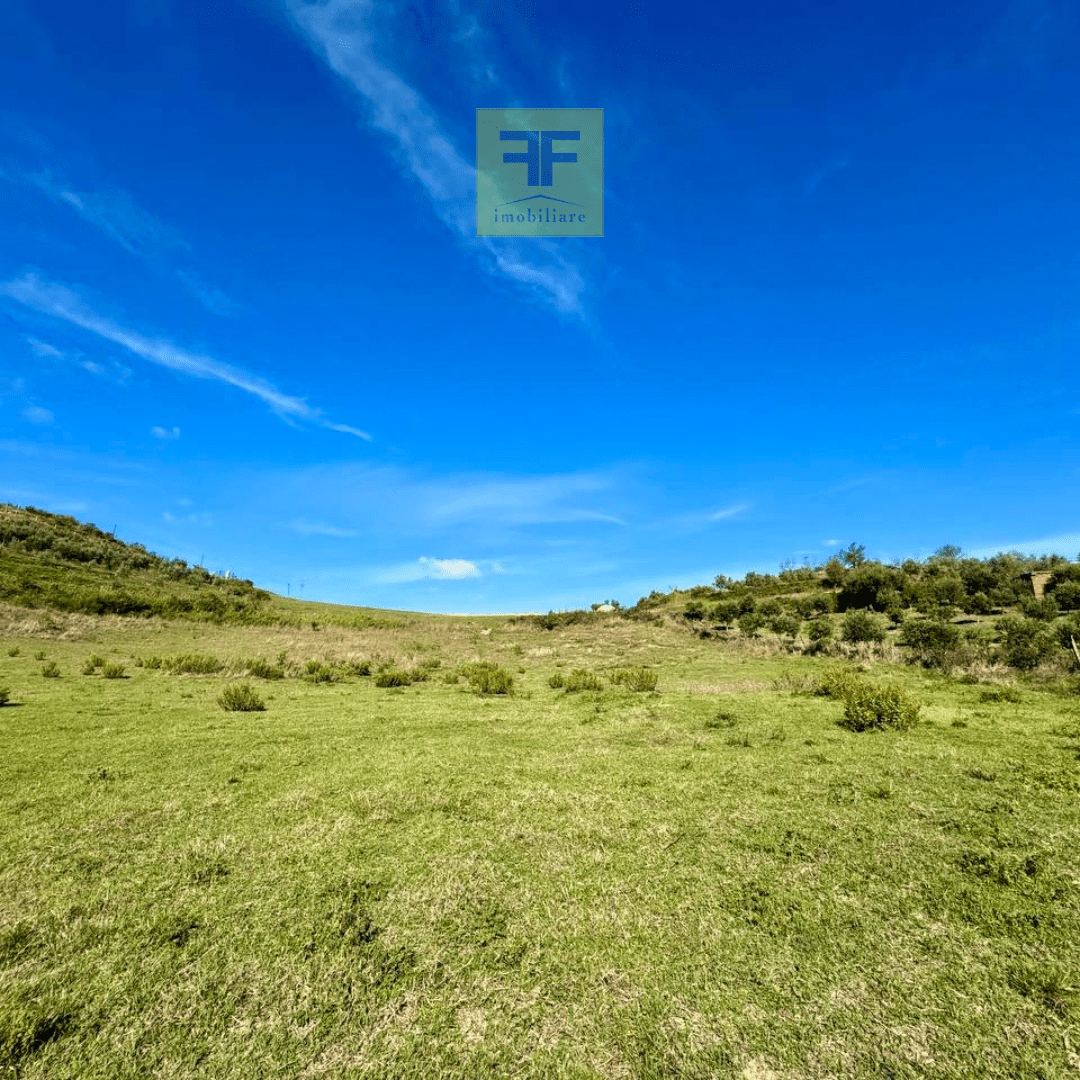 2600 m2 toke per shitje ne Spitall, Durres