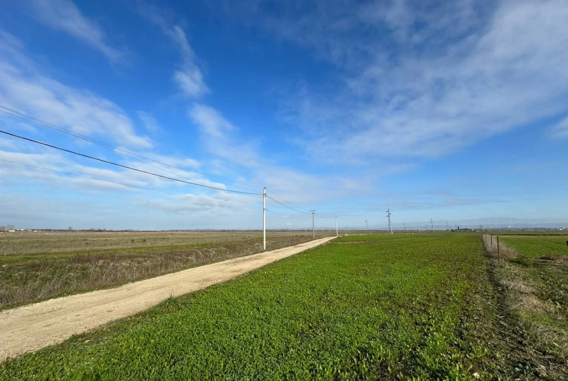 Toke 3900 m2 per shitje, ne Fllake, Durres.
