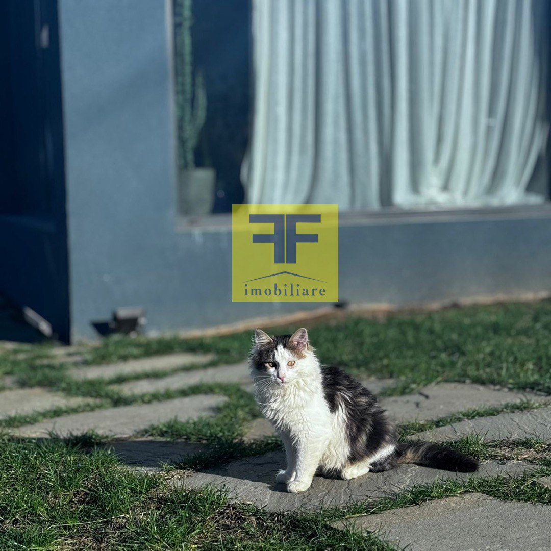Vile unike dhe toke per shitje, ne Qeha-Shytaj, Tirane.