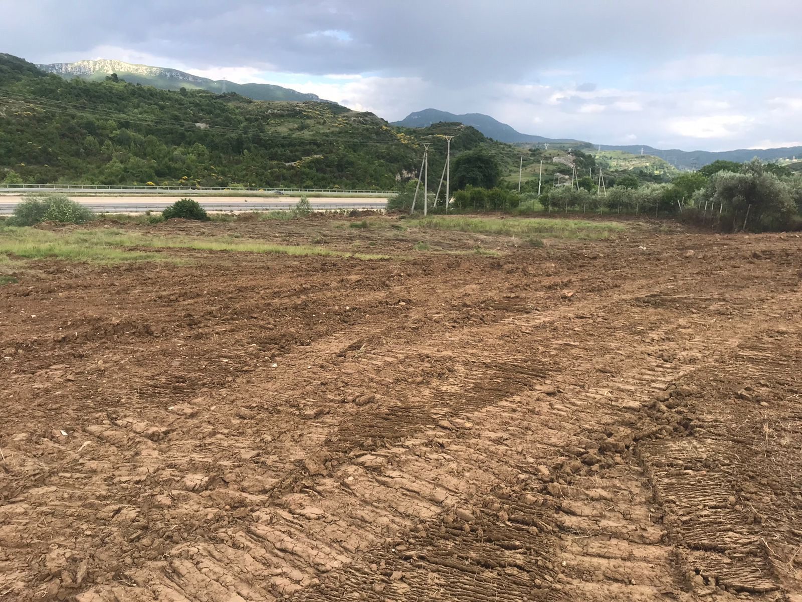 Toke 16500 m2 per shitje, ne Berzhite, Tirane.