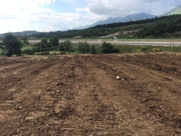 Toke 16500 m2 per shitje, ne Berzhite, Tirane.