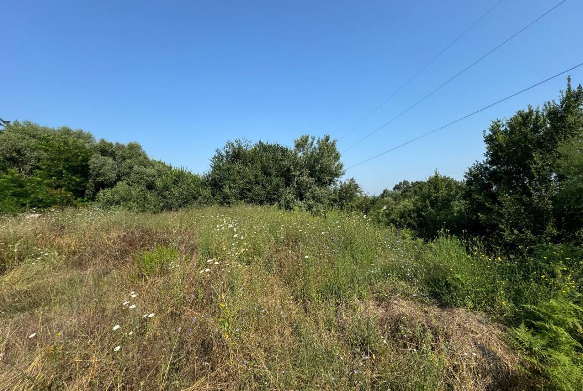 Toke 5000 m2 per shitje, ne Romanat, Durres.