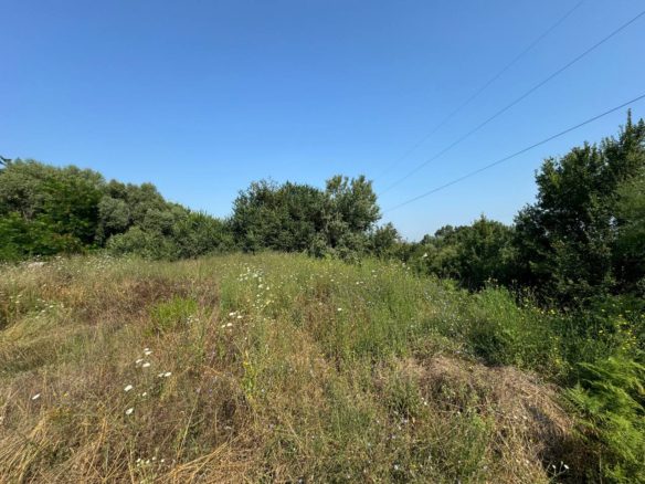 Toke 5000 m2 per shitje, ne Romanat, Durres.