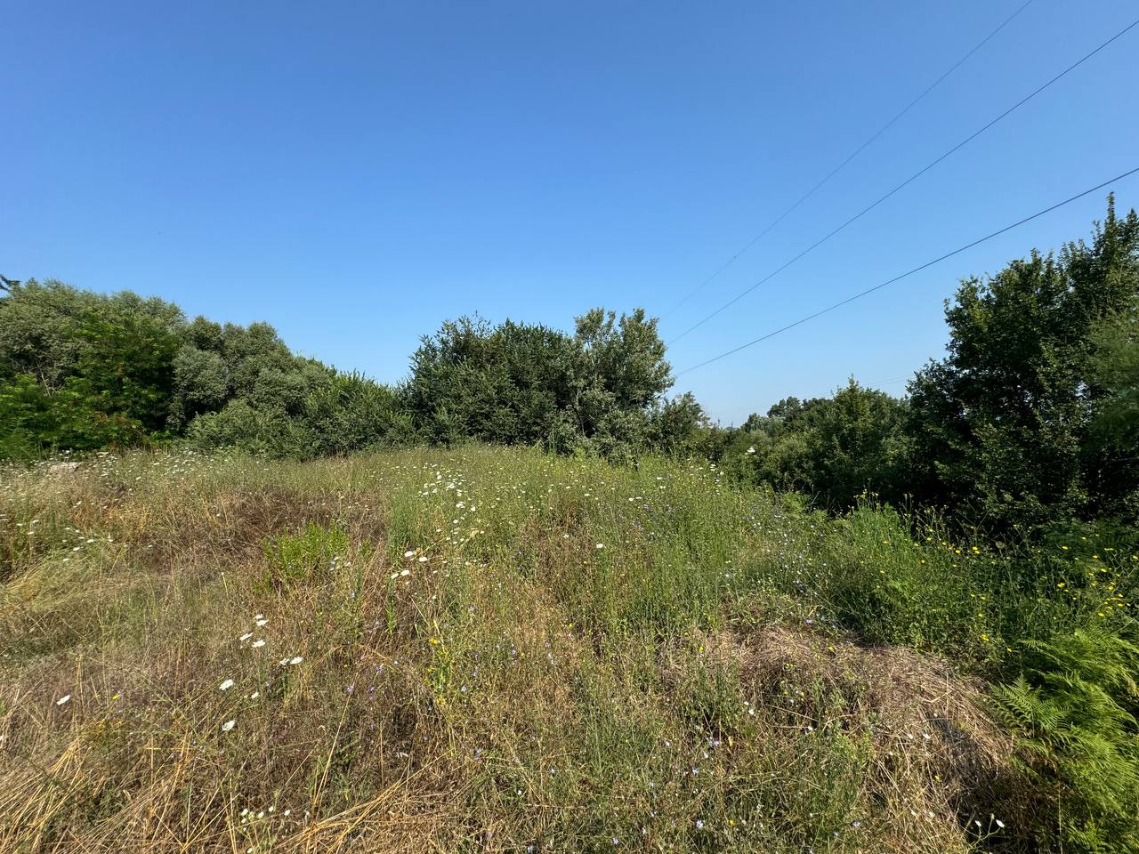 Toke 5000 m2 per shitje, ne Romanat, Durres.