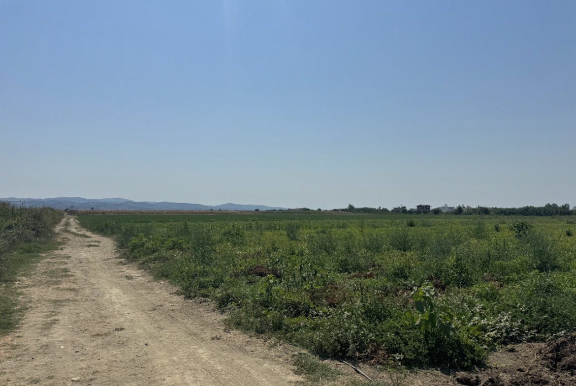 Toke per shitje, Cerm Siper, Lushnje.