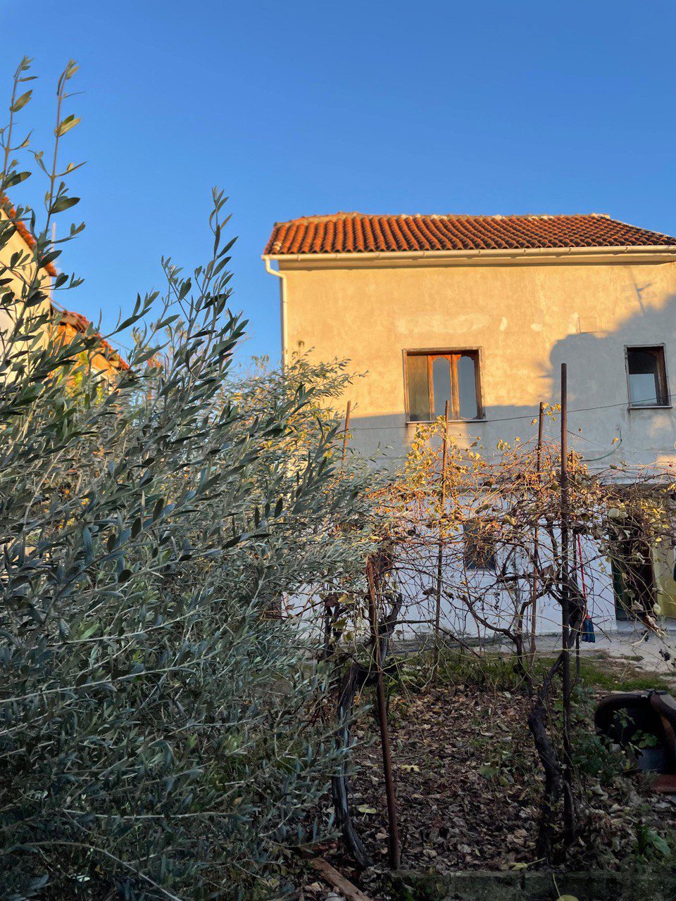 Truall+ndertese 3-kateshe, prane QTU, Tirane.