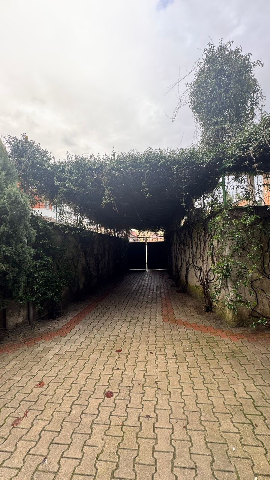 Dy vila per qera, te rruga “Jordan Misja”, Tirane.