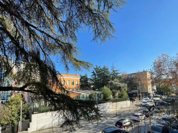 Ambient biznesi per qera, perballe Gjykates, Tirane.