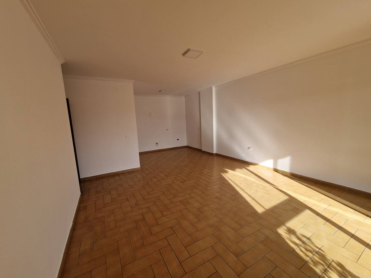 Ambient per zyra me qera, ne zonen e Bllokut, Tirane.