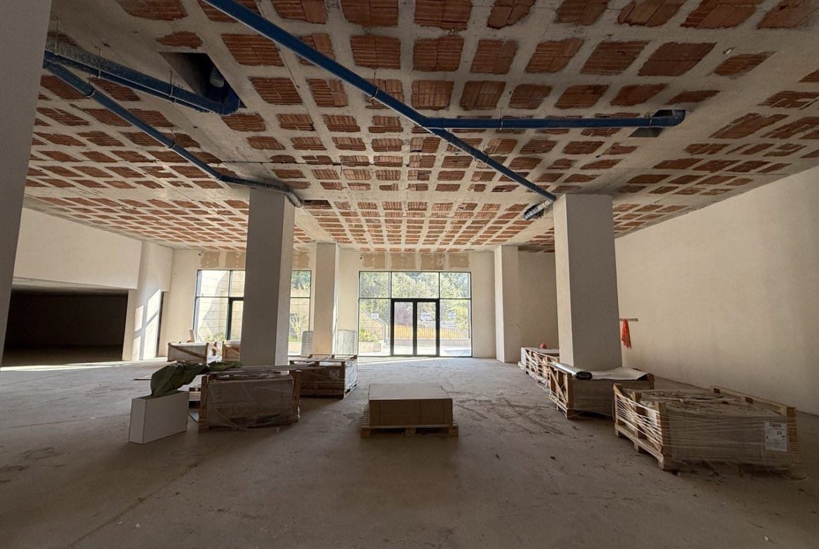 Ambient 610 m2 per shitje, prane Kopshtit Zoologjik, Tirane.