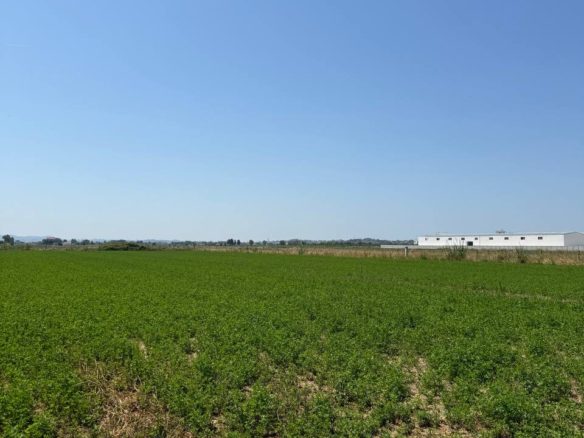 Toke 8900 m2 per shitje, Fllake, Durres.