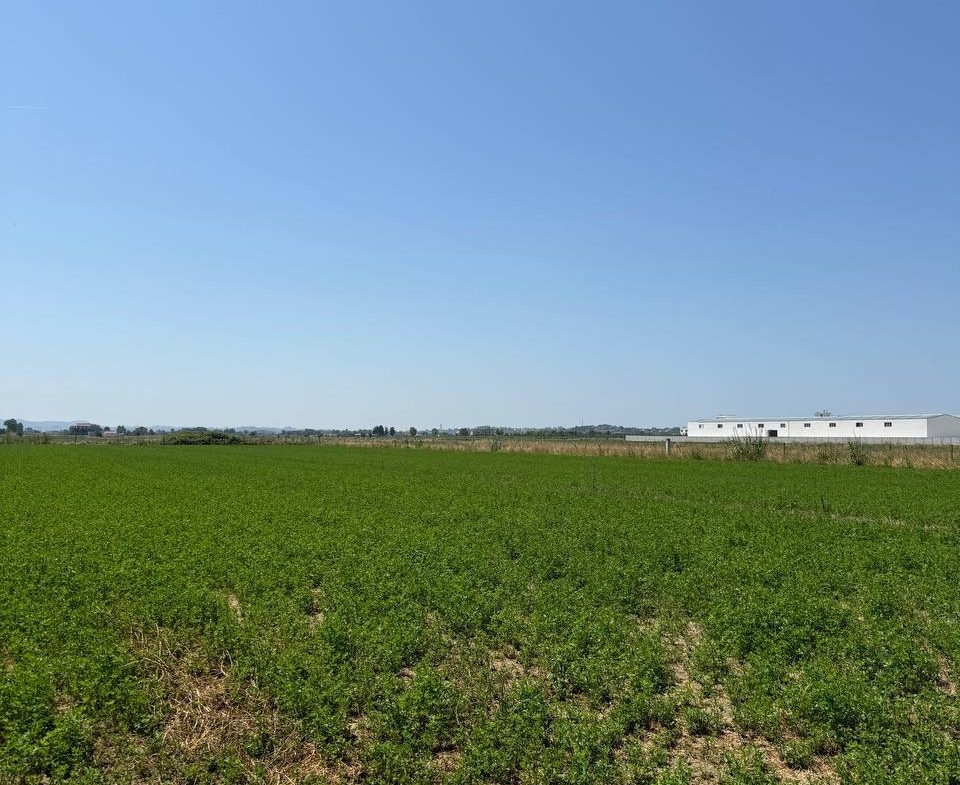 Toke 8900 m2 per shitje, Fllake, Durres.