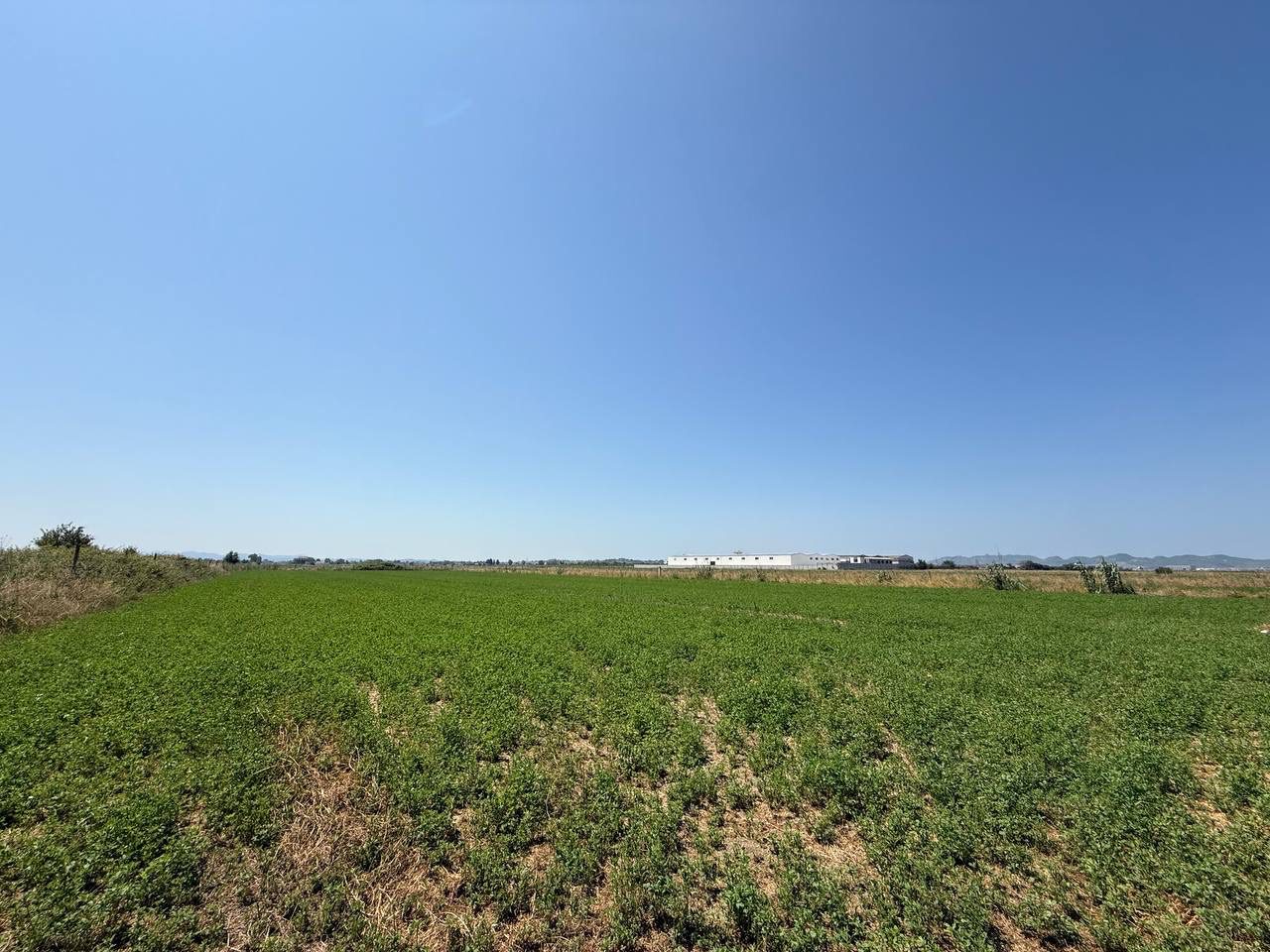 Toke 8900 m2 per shitje, Fllake, Durres.