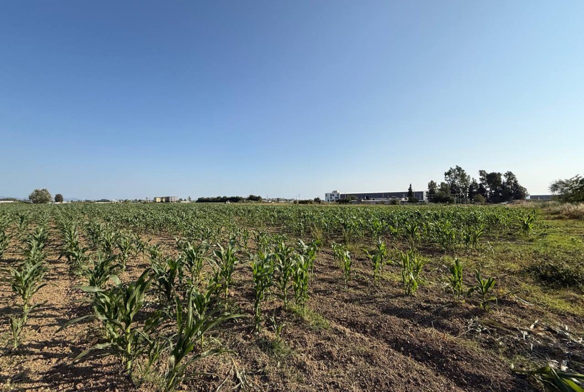 Toke 15600 m2 per shitje, ne Fllake, Durres.
