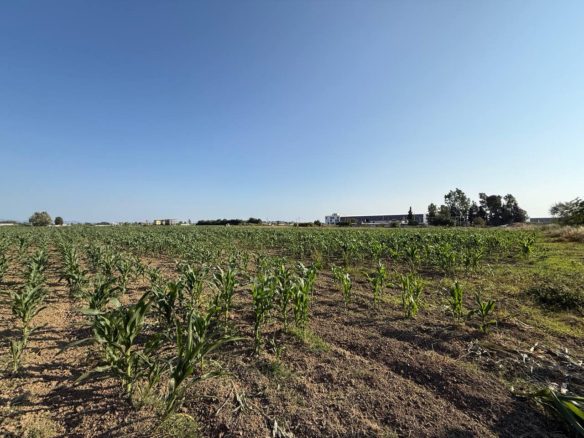 Toke 15600 m2 per shitje, ne Fllake, Durres.
