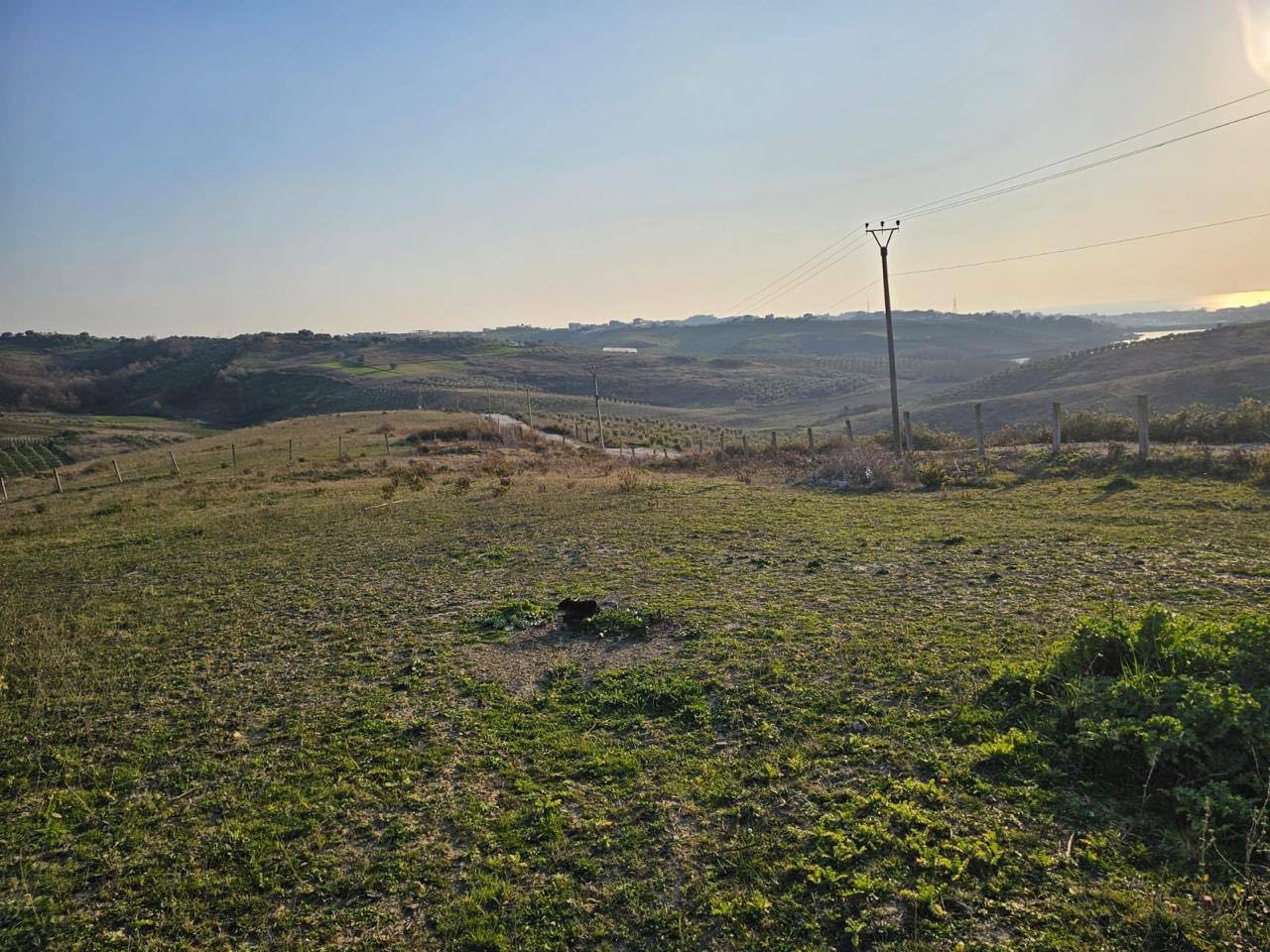 Toke 8060 m2 per shitje, Arapaj, Durres.