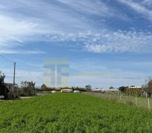 Toke 2920 m2 per shitje, Fllake, Durres.