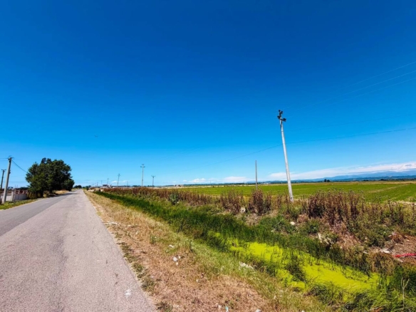 Shitet toke industriale, Fllake – Durres.